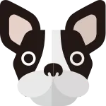 Pug Modified French Bulldog SVG Icon